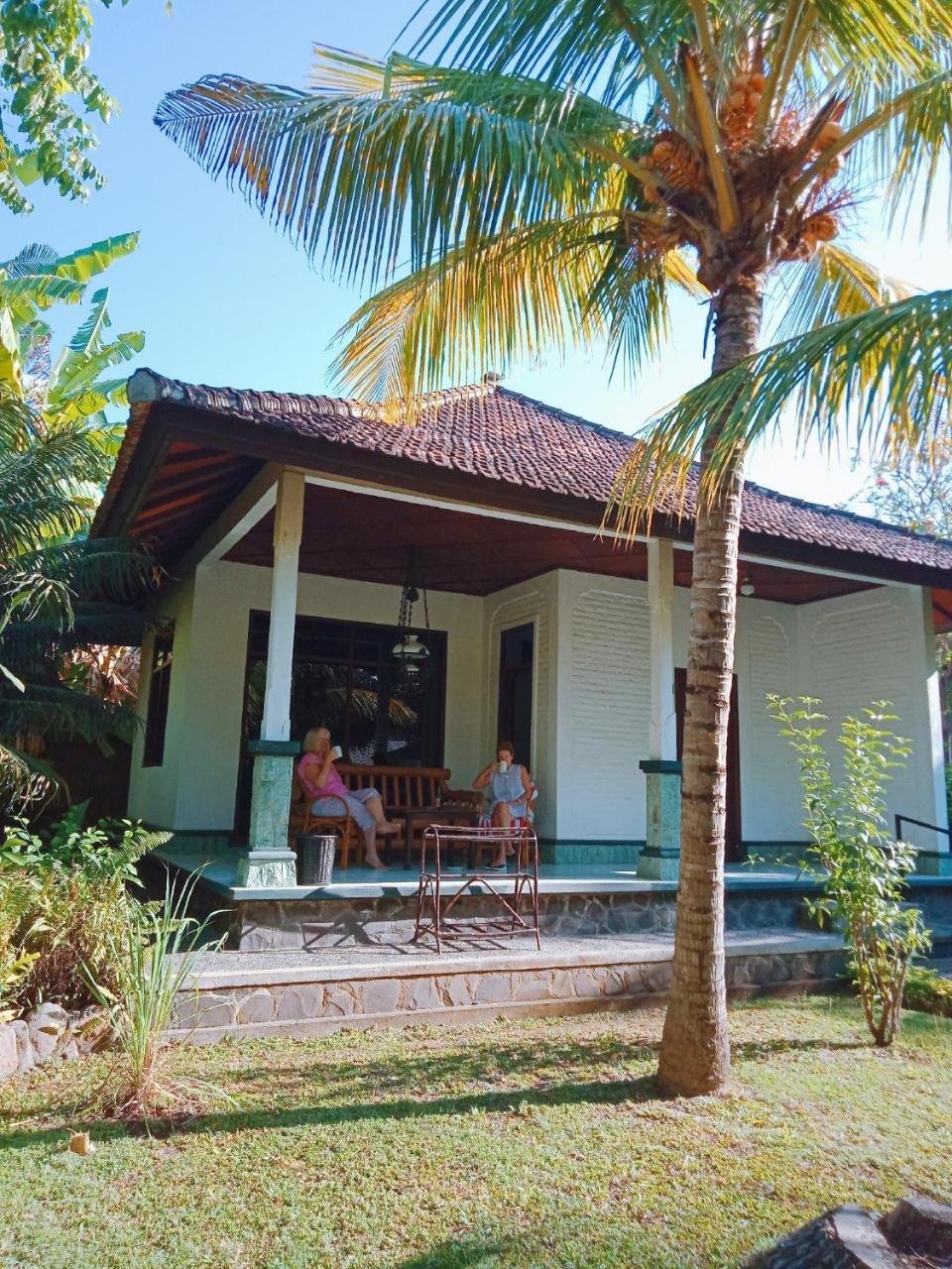 Rini Hotel Lovina (Bali)