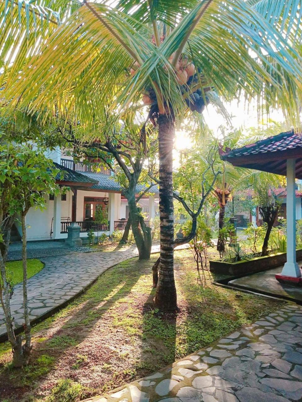 Rini Hotel Lovina (Bali)